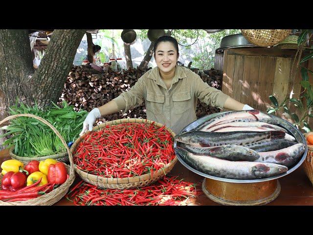 Chili and Snake head fish recipe - Delicious snake head fish cooking - Cooking with Sreypov