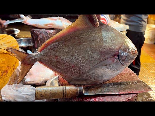 Amazing Black Pomfret Fish Cutting Skills | Fish Cutting Sskills