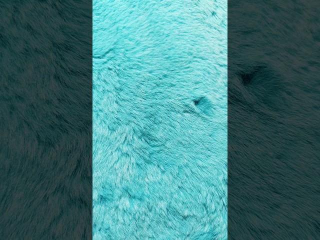 #music #live #вика #art #реки #tiktok #tiktokvideo #рек #рекомендации #tiktokviral