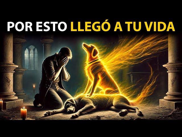 El Significado Espiritual de Tu Perro en Tu Vida