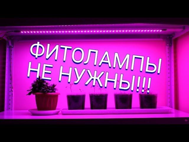 ПОДСВЕТКА РАССАДЫ!!! ДЁШЕВО И ЭФФЕКТИВНО!!!