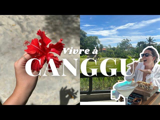 POURQUOI VIVRE À CANGGU | Notre retour à Bali