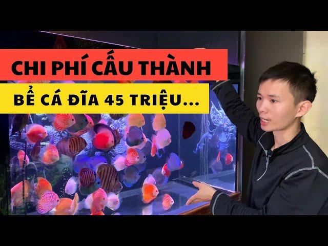 Bể cá đĩa 45 triệu có gì |Nguyễn Du aqua