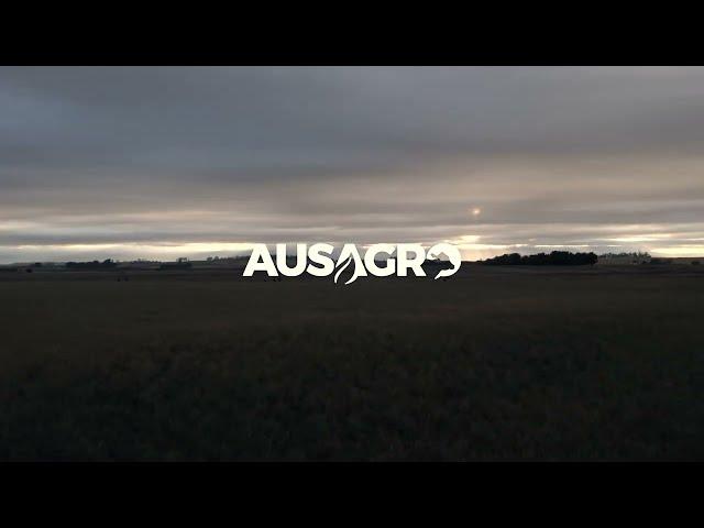 Aus Agro 465 Mini Round Hay Baler Teaser