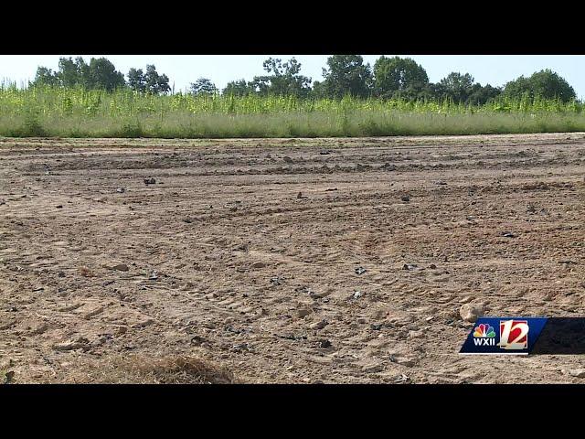 ‘The risk is too great’: Triad strawberry farmers may cancel 2025 strawberry season