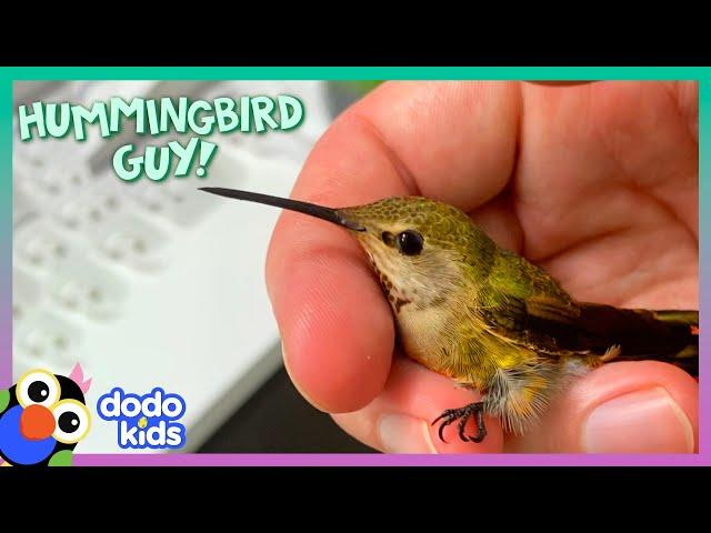 Hummingbirds Love This Guy's Fairytale Costumes! | Dodo Kids