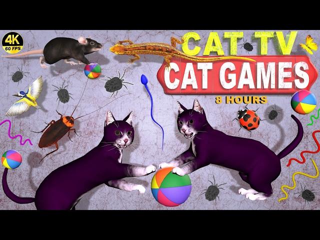 CAT GAMES COMPILATION | ULTIMATE VIDEOS COLLECTION FOR CATS | TV FOR FELINE FRIENDS  4K 8-HOURS