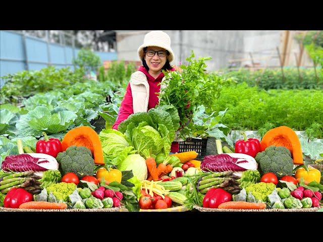 From Dream to Reality: My Bountiful Harvest in the Garden I Always Wanted