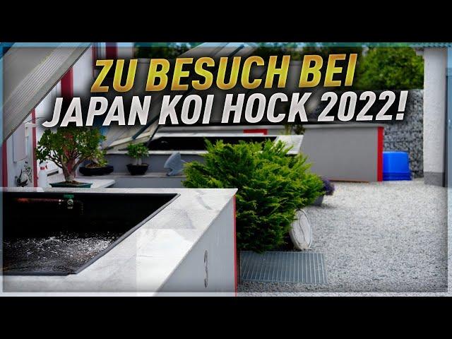 Zu Besuch bei Japan Koi Hock 2022 !