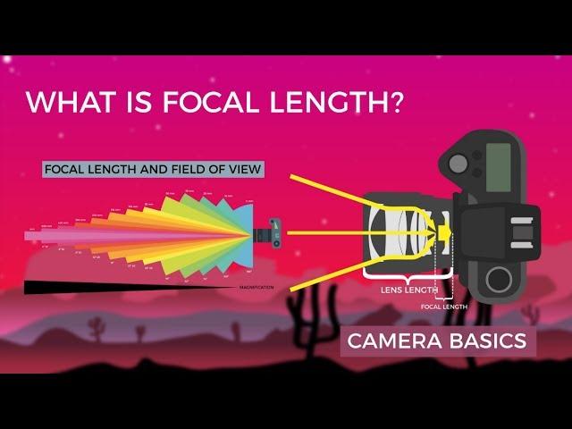 Camera Basics - Focal Length