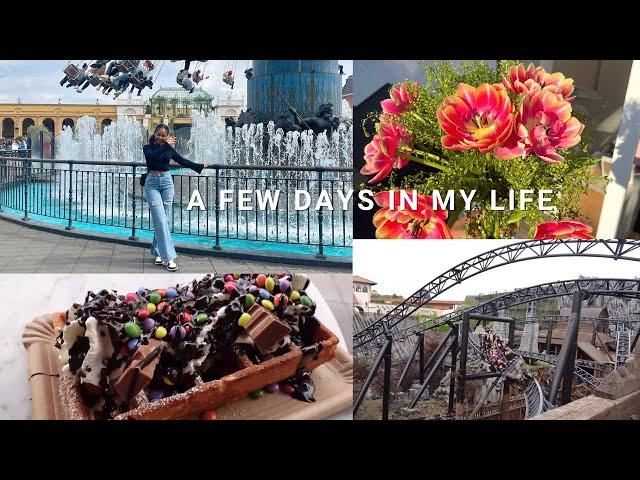 Vlog| impulsive life decisions, phantasialand, gynaecologist visit, finishing exams