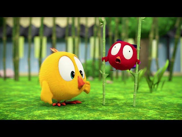 (NEW) Where's Chicky? S3  Funny Poyo | Cartoon in English for Kids | New episodes
