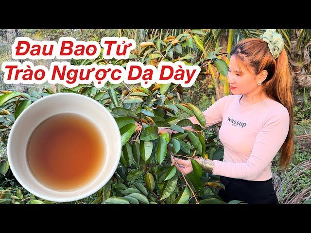 Ai Đang Bị Đau Bao Tử, Trào Ngược Dạ Dày Sử Dụng Ngay Bài Thuốc Này Sáng Dùng Chiều Khỏe Bạn Nên Thử