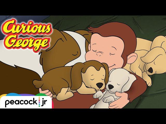 Sleepy George | CURIOUS GEORGE