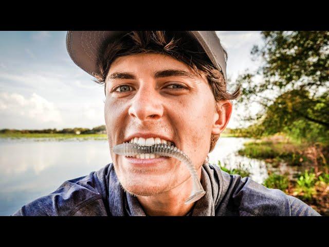 TOP 5 Paddle Tail Swimbait Tips For BIG BITES Bass Fishing!!