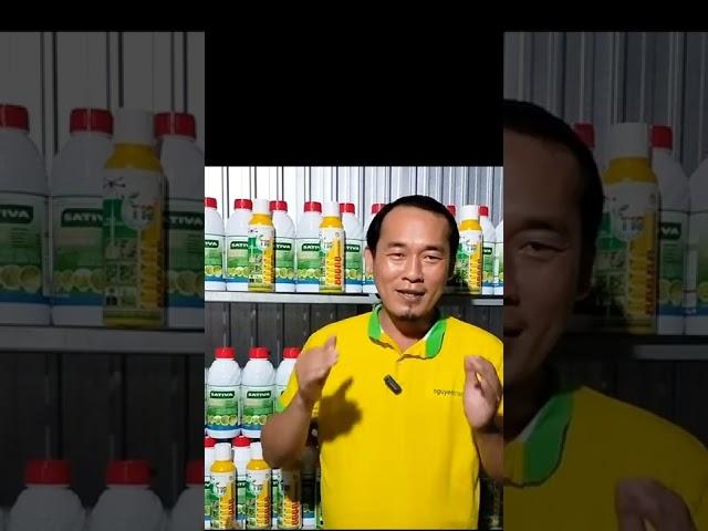 Nguyễn Trâm 17 - Thần dược T10, siêu ra rể, liêu kích mầm, siêu đâm chồi
