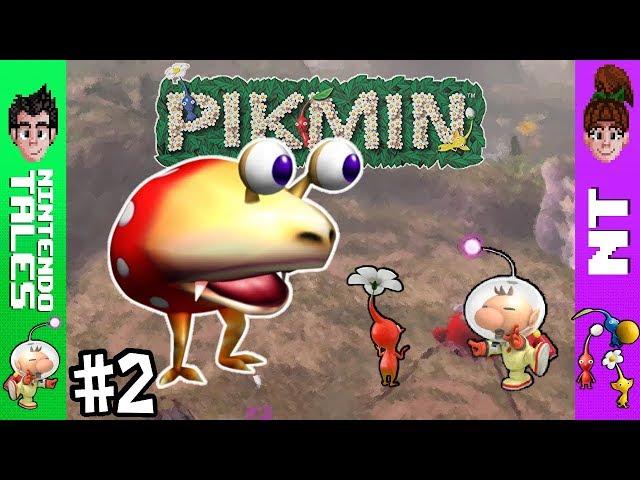 Pikmin: Episode 2 - Further Adventures in Flash's Childhood