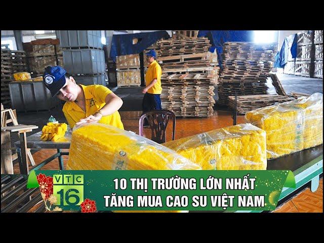 10 Thị trường lớn nhất tăng mua cao su Việt Nam | VTC16