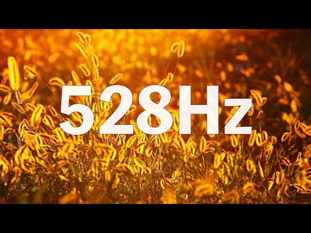  Resonance Liver & Kidney 528Hz Solar Plexus Chakra  Tibetan Singing Bowl Sound  EP498