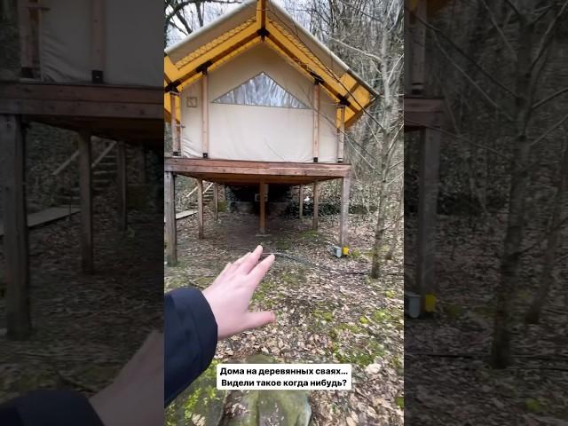 Дом на деревянный сваях. Глэмпинг это не недвижимость