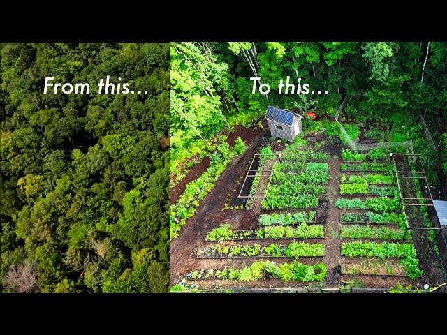 4 Year Garden Evolution | How to Start a Garden from Scratch on a Budget