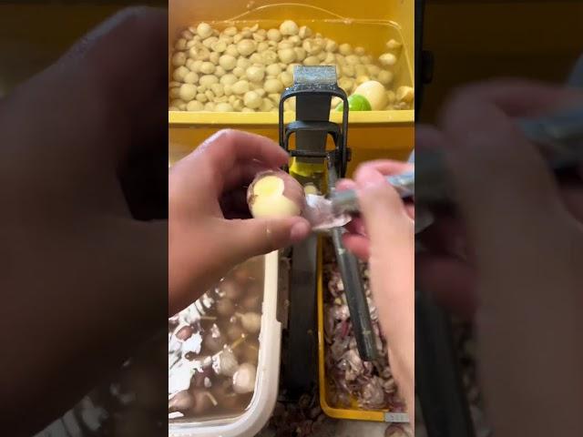 벗기기 #쉽게 #간단히