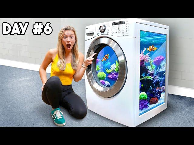 I Transformed My Washing Machine into a Fish Tank