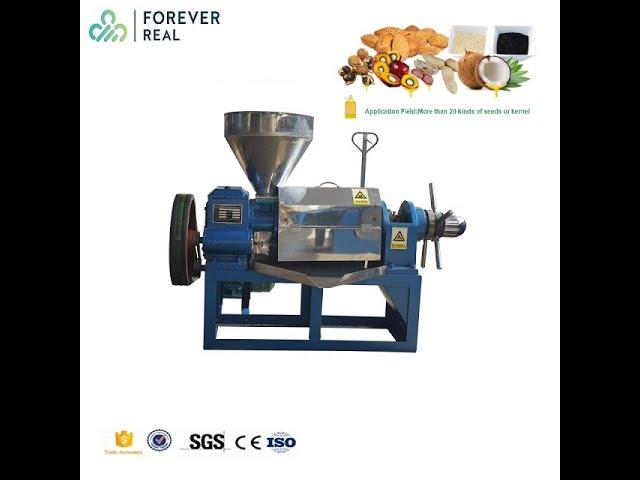 Screw Oil Press Machine