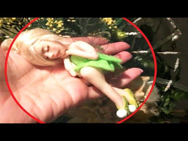 15 Real Fairies Caught On Camera And Seen In Real Life