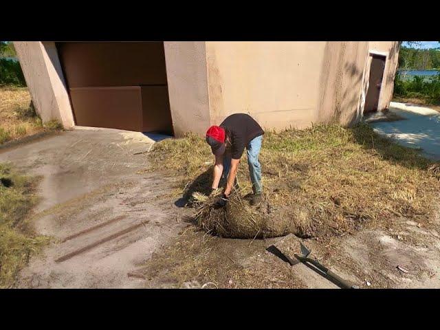 This NEGLECTED driveway Leaves NEIGHBOR in AWE!!