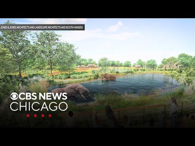 Brookfield Zoo Chicago reveals its $500M makeover plan