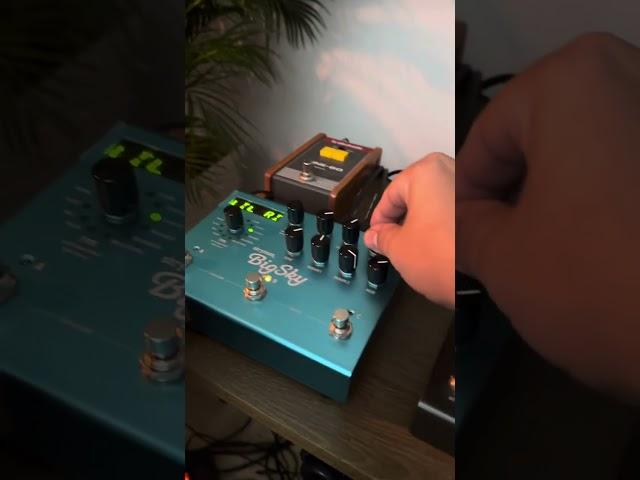 Prophet rev2  + Delay Timeline e Big SKY