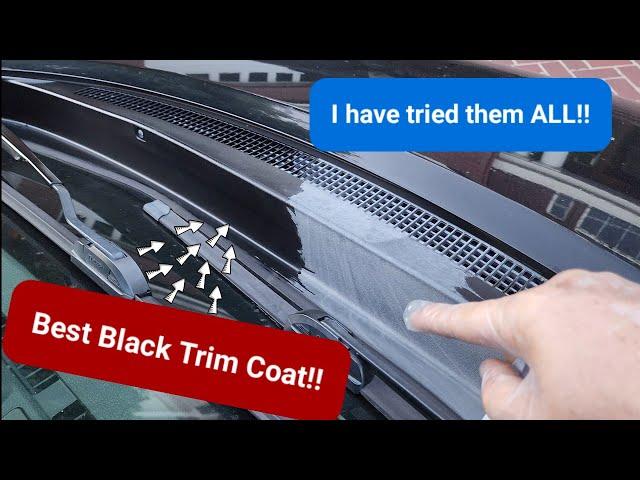 The Very Best Black Trim Restorer - Huge results!