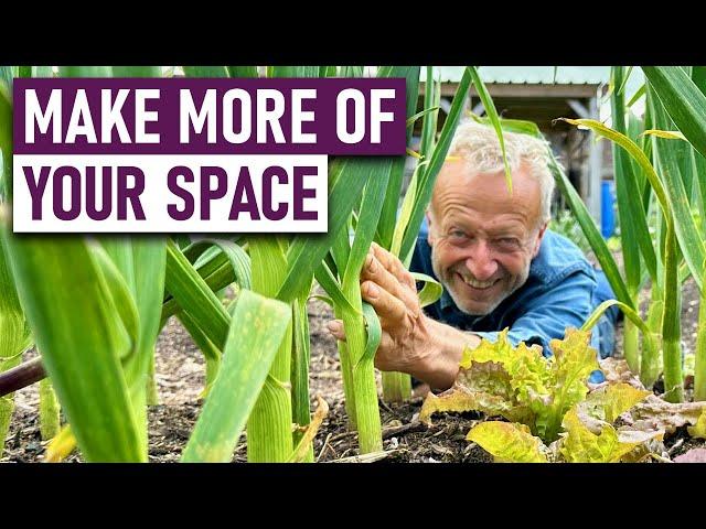 Spacing Plants Efficiently and Effectively with Charles Dowding