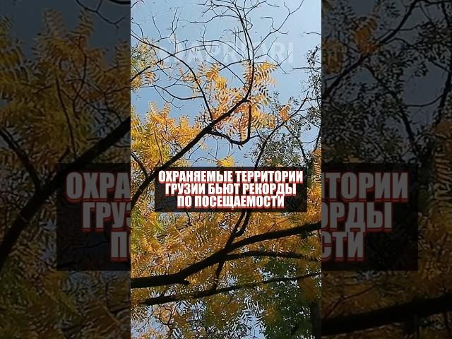 Охраняемые территории Грузии бьют рекорды по посещаемости