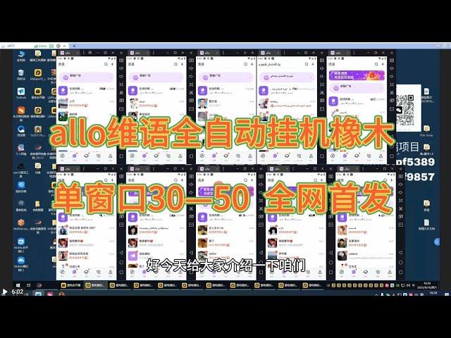 allo维语智能挂机聊天橡木，全自动挂机单窗口30—50，全网首发项目