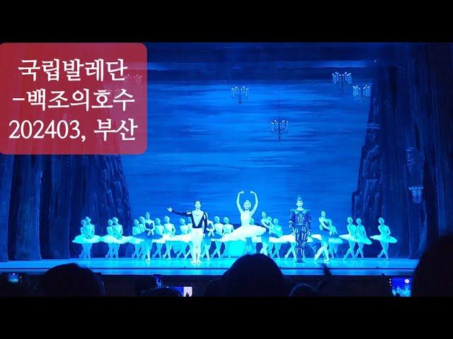 20240316토, 국립발레단-백조의호수(커튼콜), 부산시민회관대극장