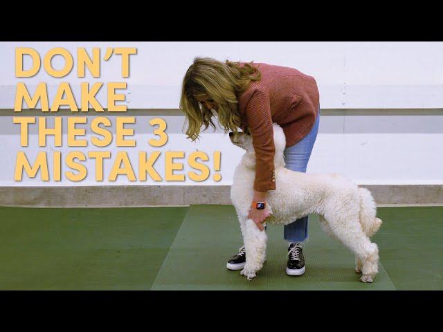 Mistakes When Stacking the Front Legs (and how to fix them!)