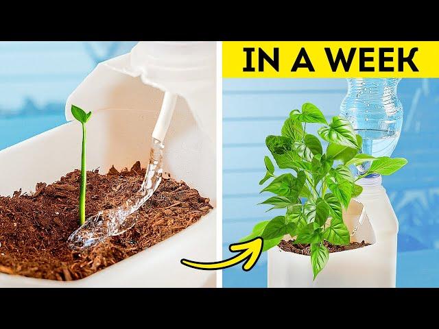 Gardening Hacks: 101 Genius Ideas for Plant Lovers ️