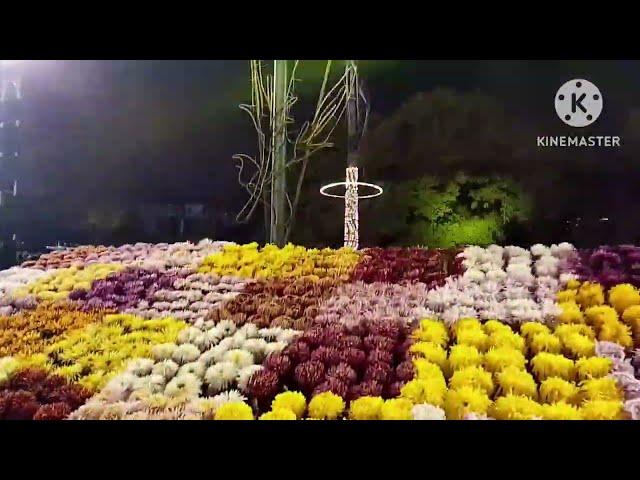 Flowers Exhibition 2024(part 2) in Jalani Park Lahore