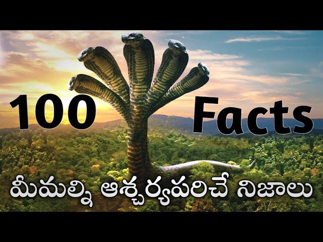 Top 100 Interesting Facts In Telugu | Episode 4 | Facts In Telugu new | Telugu Facts | Facts Forever