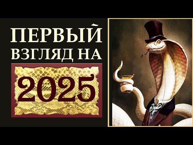 ПЕРВЫЙ ВЗГЛЯД НА 2025 ГОД . ЧТО БУДЕТ И ЧТО ДЕЛАТЬ