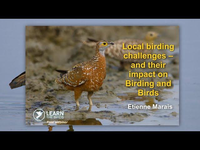 Local birding challenges – and their impact on Birding and Birds