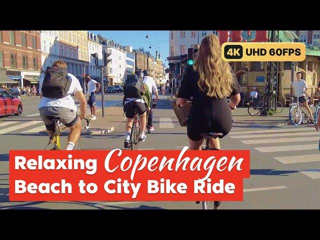 Chilled Beach to City Virtual Bike Ride in Copenhagen  4K