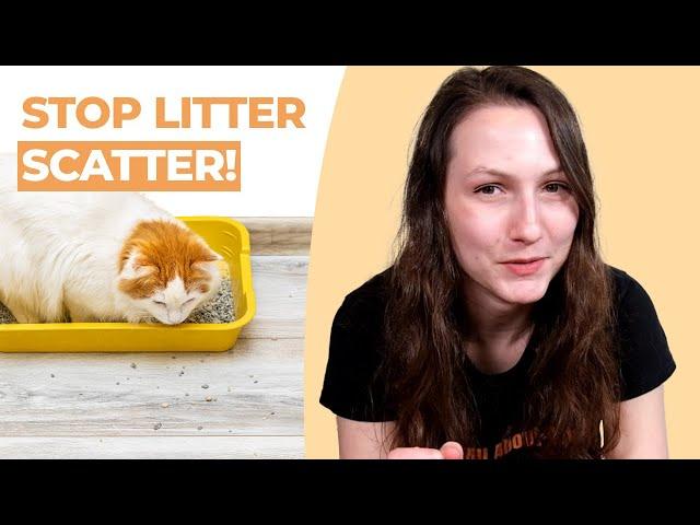 Cat Litter Everywhere? How to Stop Litter Tracking & Scatter