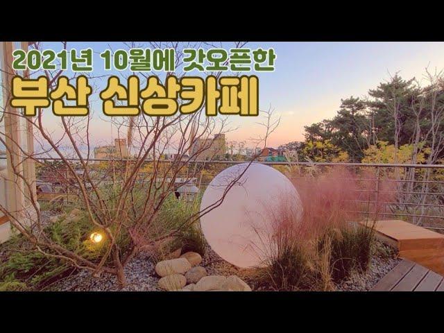 [내돈내산리뷰]#부산카페#65번째 /오시리아 대형카페