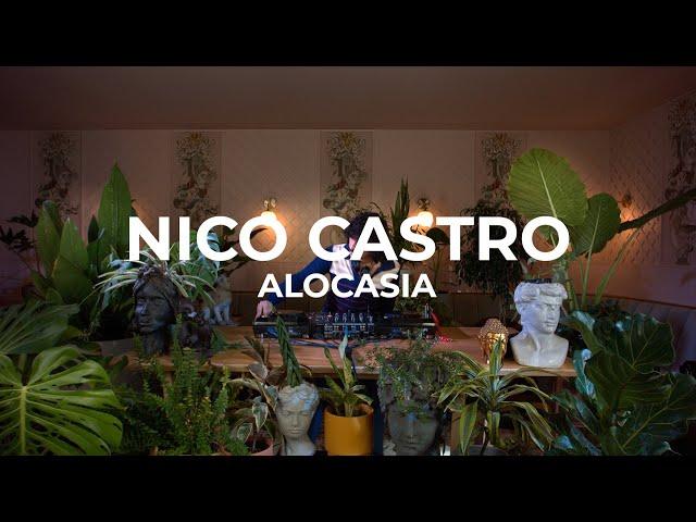 Italo Disco Grooves by Nico Castro Dj Set at Casa Sanz - Alocasia TV Santiago