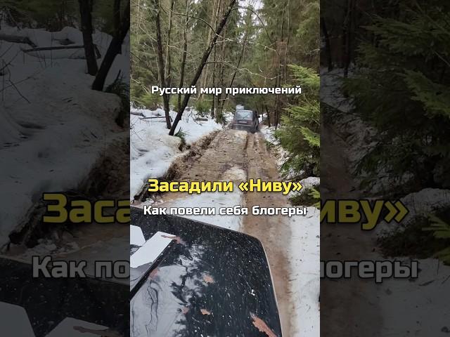 Засадили «Ниву». Смотрите, как повели себя блогеры! #медиаразведка #offroad