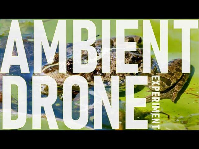 Frogs | Ambient Drone & Post-Rock Dawless Jam | Squarp, TR6s, Neutron, Mood MkII