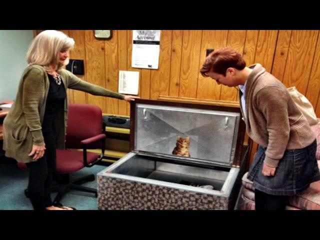 “Dewey: The Small-Town Library Cat Who Touched the World” by Vicki Myron, Bret Witter